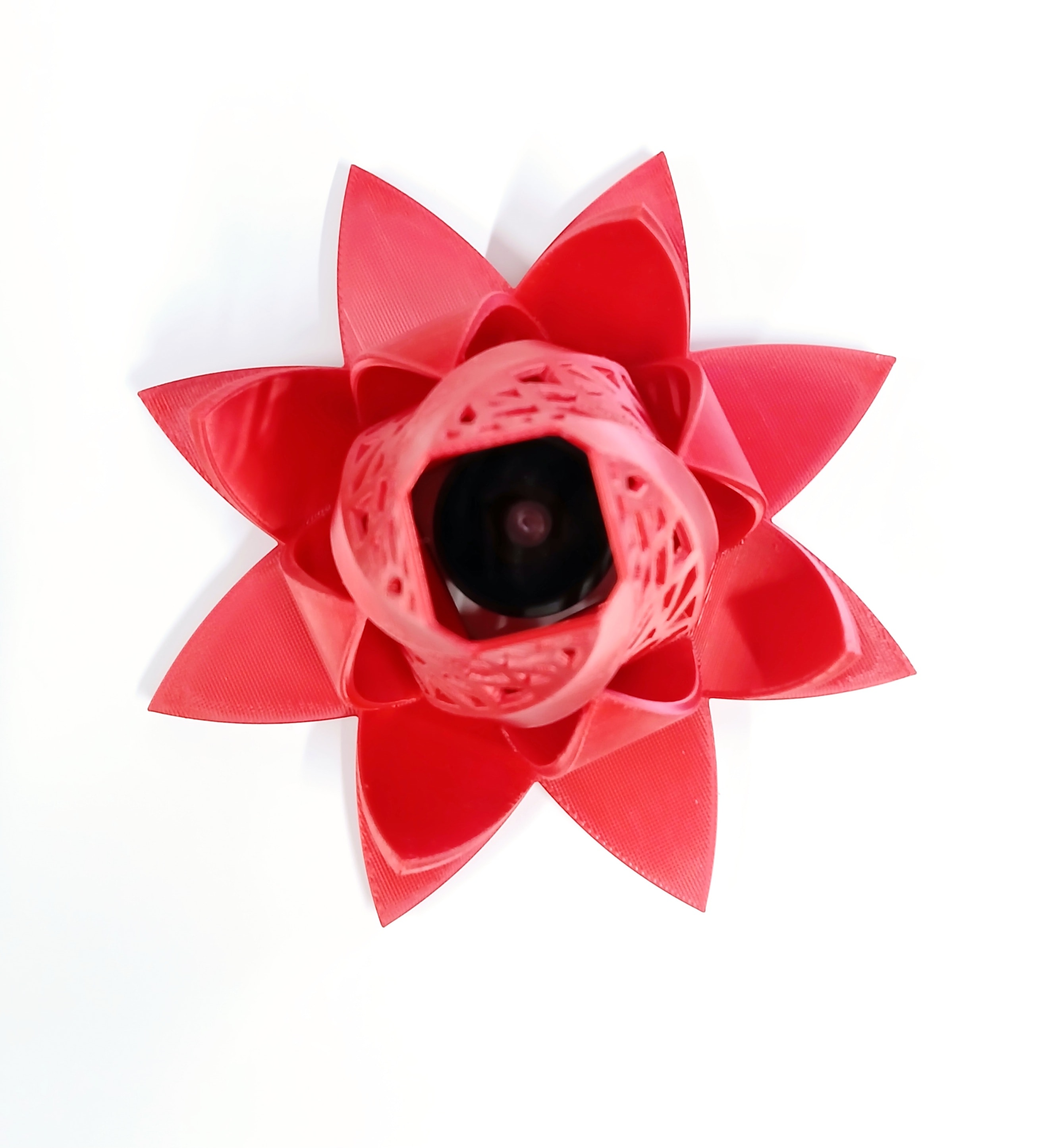 Bloom Light Holder